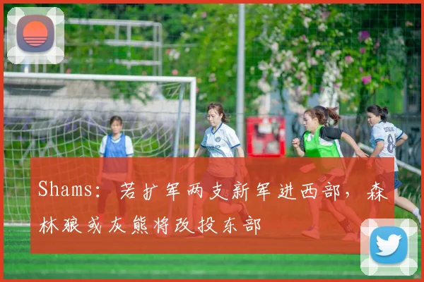 Shams：若扩军两支新军进西部，森林狼或灰熊将改投东部